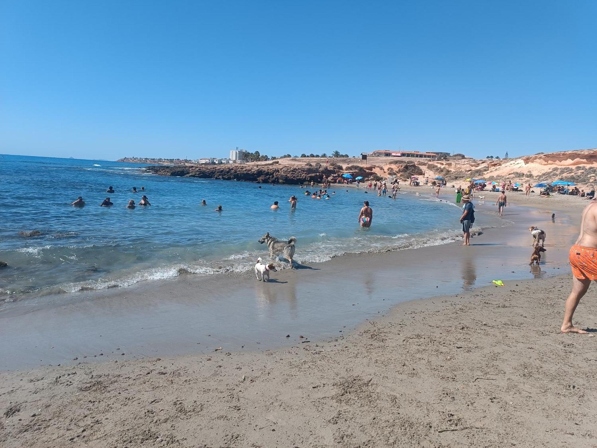 Apartament La Campana Dehesa de Campoamor  Zewnętrze zdjęcie